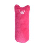 Interactive Grinding Catnip Toys