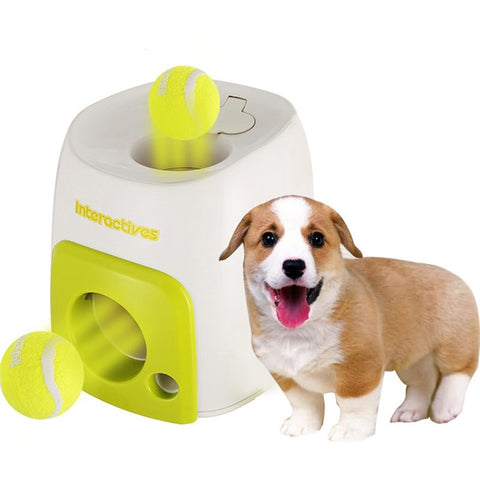 Interactive Fetch Ball Training Machine