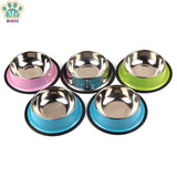 Indoor Stainless Steel Pet Bowl