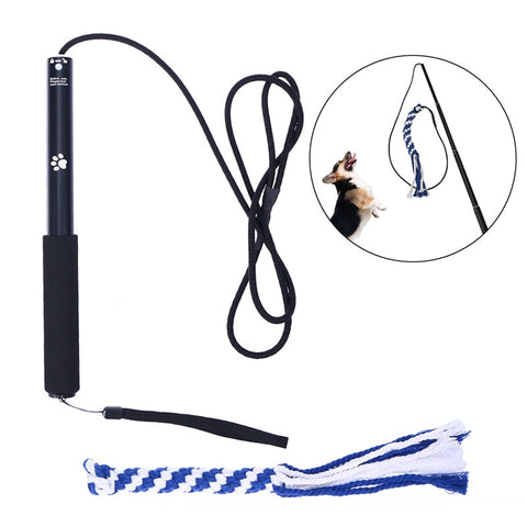 Interactive Extendable Flirt Pole Teaser
