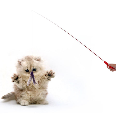 2PCS High-quality Extendable Feather Teaser