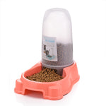 Automatic Pet Feeder