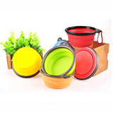 Folding Silicone Bowl