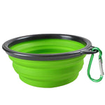 Folding Silicone Bowl
