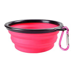 Folding Silicone Bowl