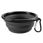 Folding Silicone Bowl