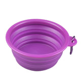 Folding Silicone Bowl